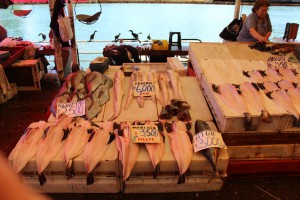 Valdivia Fish Market