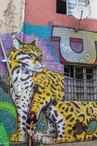 Street Art in Valparaiso